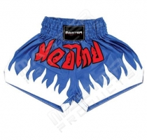 Muay Thai Shorts