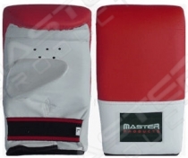 Punching Mitt