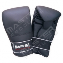 Punching Mitt