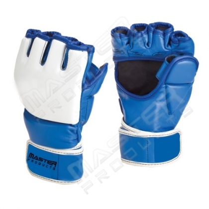 MMA Fight Gloves