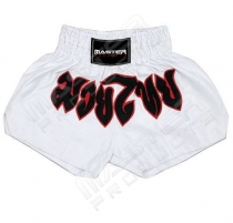 Muay Thai Shorts