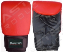Punching Mitt