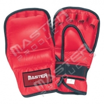 Punching Mitt