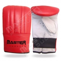 Punching Mitt