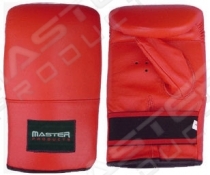 Punching Mitt