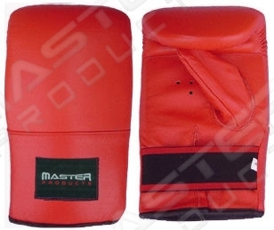 Punching Mitt