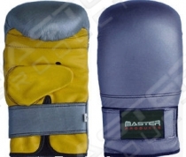 Punching Mitt