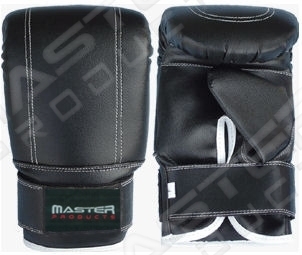 Punching Mitt