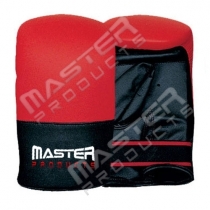Punching Mitt